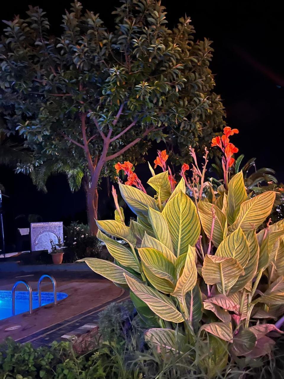 Gite Ecoparadis Madagh Bagian luar foto